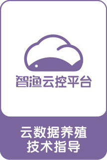 &#24320;&#20113;&#32593;&#39029;&#29256;&#45;&#24320;&#20113;&#40;&#20013;&#22269;&#41;